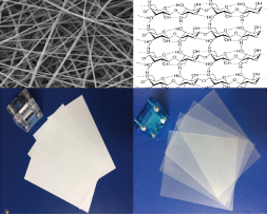 Reinforced Composite Membrane
