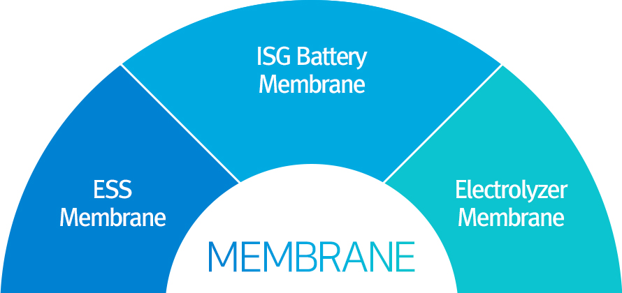ESS Membrane, ISG Battery Membrane, Electrolyzer Membrane